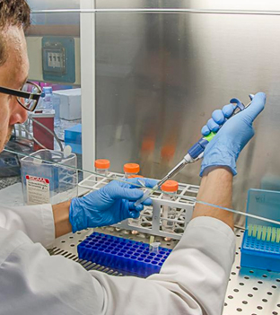 Imagen Residencia investigación